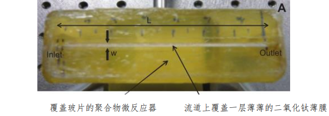 圖 1 聚合物微通道反應(yīng)器示意圖